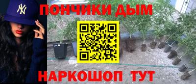 прущие крисы Лесосибирск