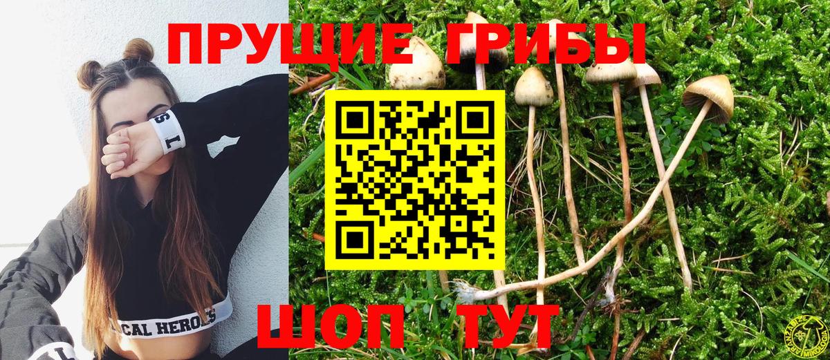 Галлюциногенные грибы Magic Shrooms Добрянка